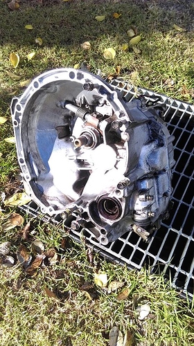 33753508_10155781211404926_4174544427429134336_n